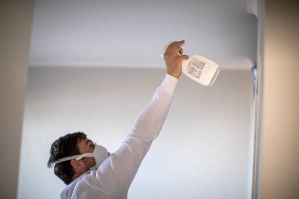 Best Emergency Mold Removal  in Bratenahl, OH