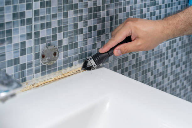 Office Mold Removal Services in Bratenahl, OH