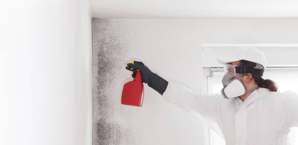 Best Crawl Space Mold Removal  in Bratenahl, OH